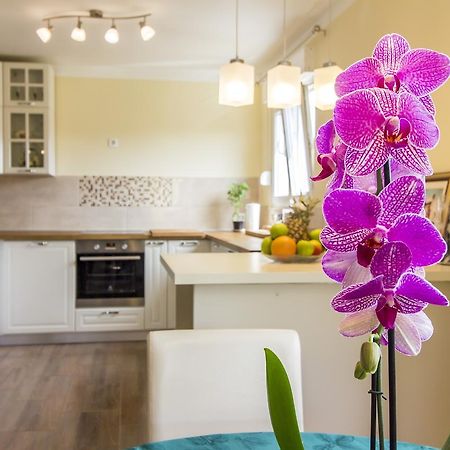 Apartmán Apartman Maxim Pula Exteriér fotografie